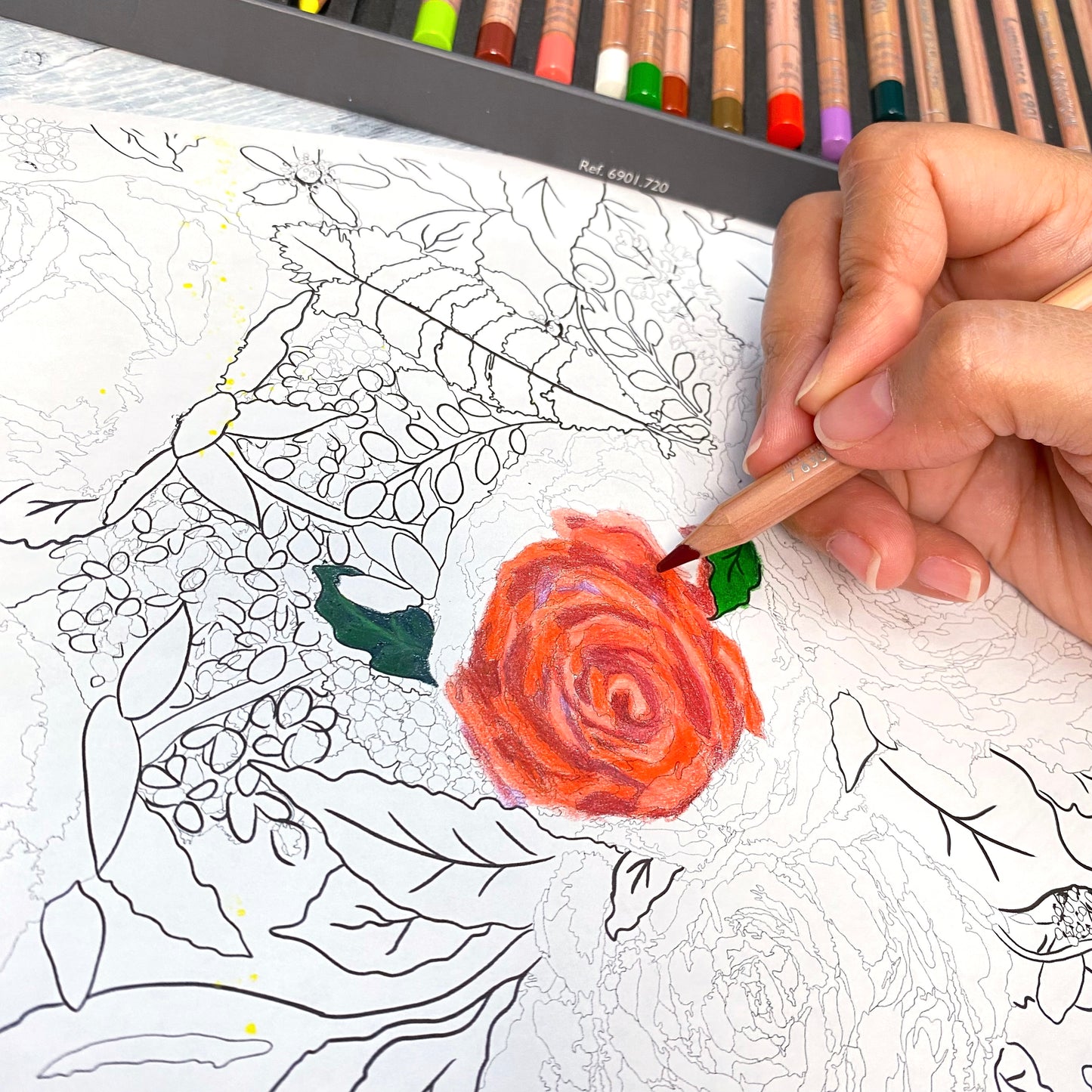Digital Download Winter Florals Coloring Page