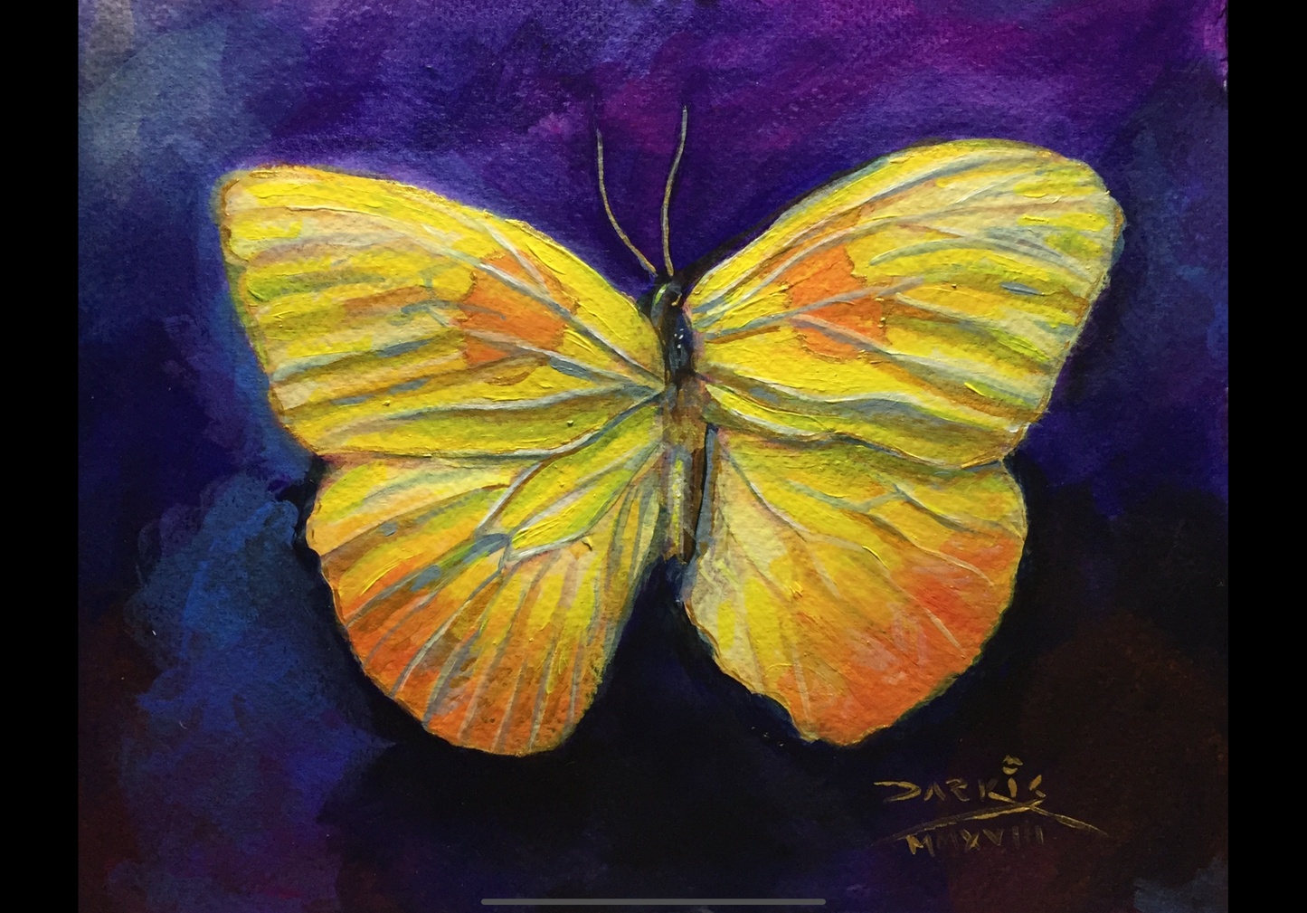 Yellow Butterfly Framed