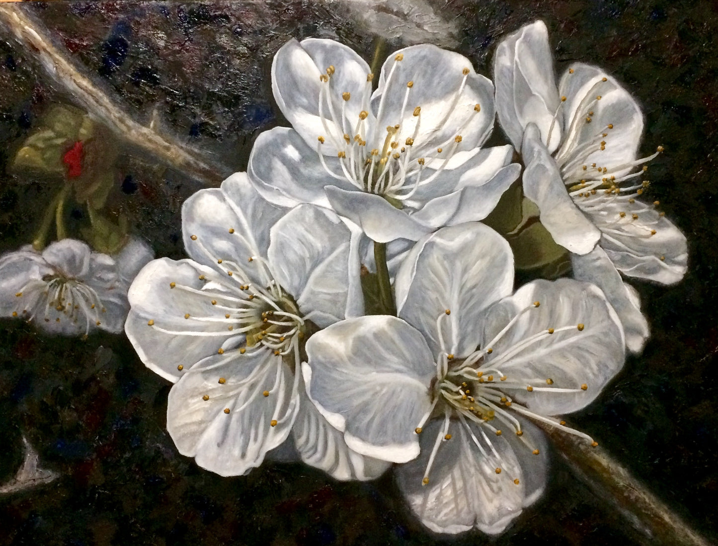 Cherry Blossoms Illuminating Shadows Limited Edition PRINT for Vincent